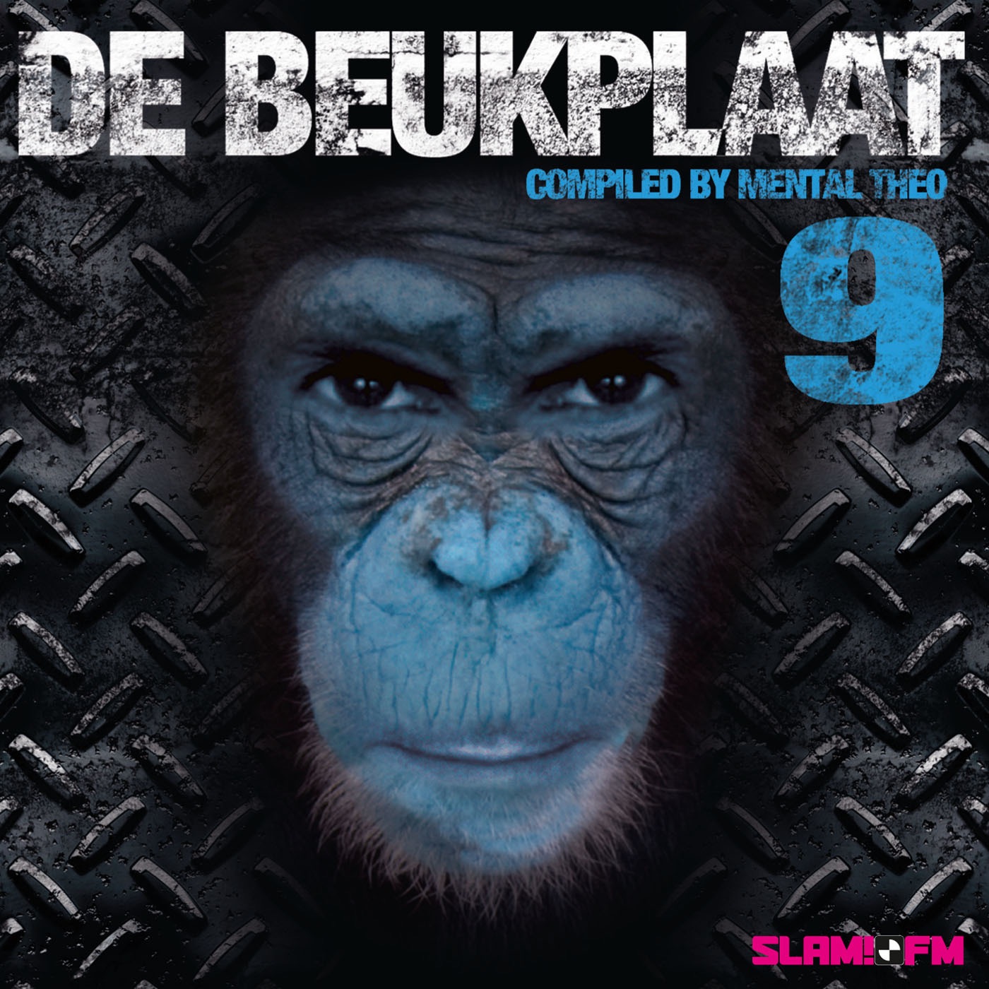 De Beukplaat 9 (Compiled By Mental Theo)
