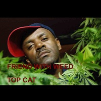 Friend With Weed - Single - Top Cat