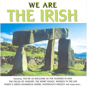 Barnbrack - If You're Irish, Come Into The Parlour - Line Dance Chorégraphe