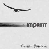 Птица-Вечность artwork