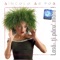 Strigaturi (Yealls) - Dincolo De Pod lyrics