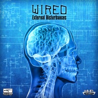 External Disturbances - Single - Wired