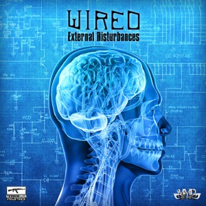 External Disturbances - Single