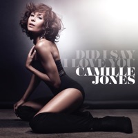 Did I Say I Love You - Camille Jones