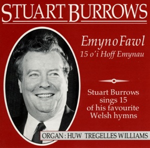 Emyn O Fawl