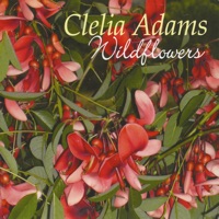 Clelia Adams - When You Fall In Love (everythings a Waltz)