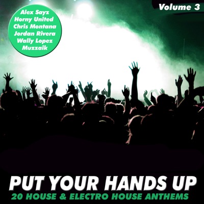 Put Your Hands Up, Vol. 3 - 20 House & Electro Anthems