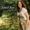 Holy Waters - Donna Ulisse lyrics