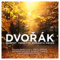 Terzetto in C Major for Two Violins and Viola, Op. 74, B. 148: IV. Tema con variazioni: Poco adagio - Molto allegro