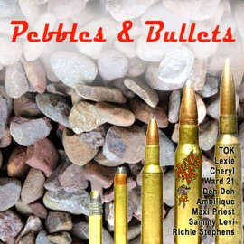 Still Waters Richie Stephens & Maxi Priest