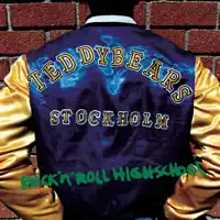 Rock 'n roll highschool — Teddybears