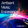 Ambient Music Experience, Vol. 1