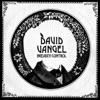 David Vangel - Touching Your Feelings