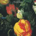 The Only One