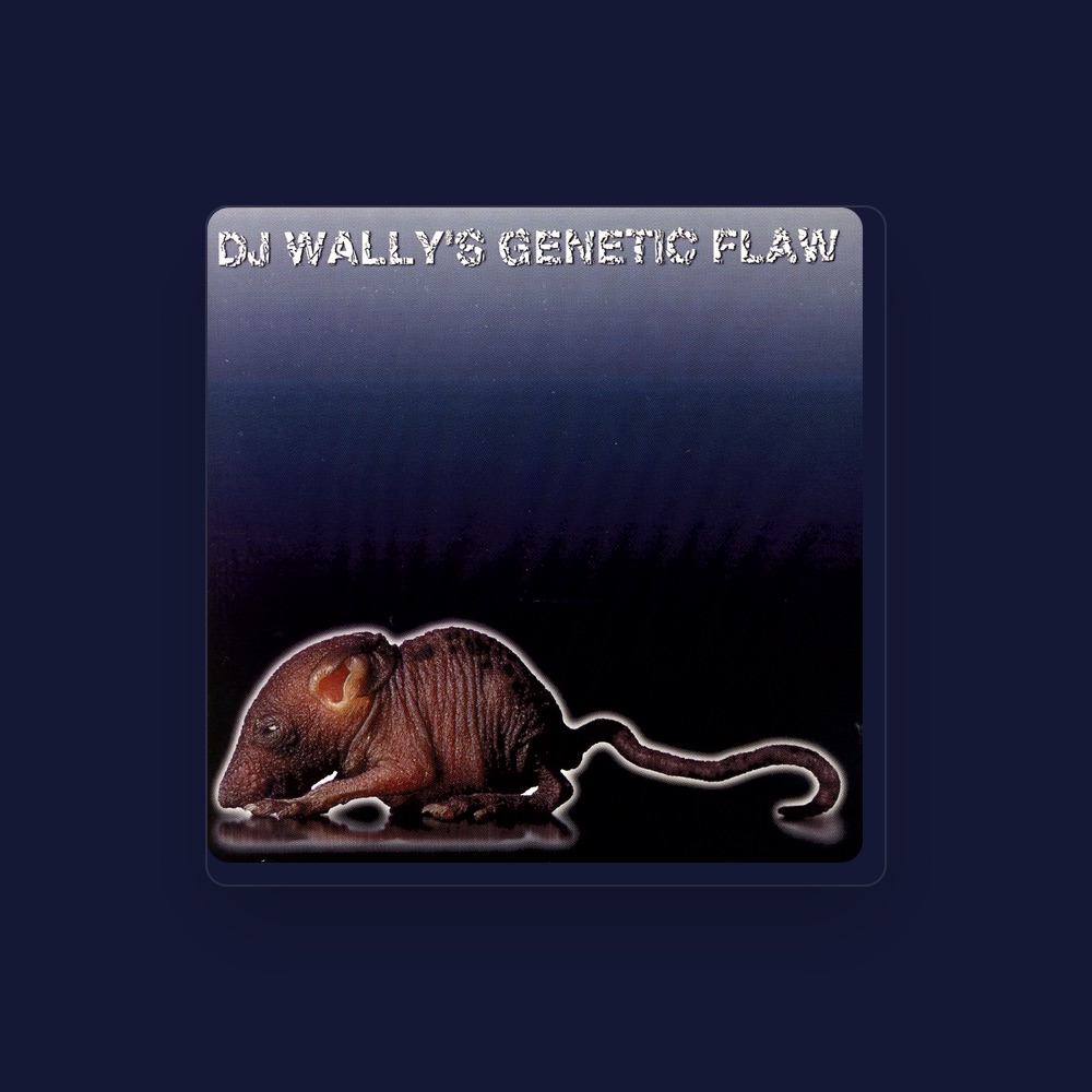 Фото DJ Wally