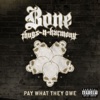 Pay What They Owe - Single