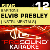 Heartbreak Hotel (Karaoke Instrumental Track) [In the Style of Elvis Presley]