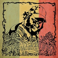 Jah Roots - Josh Heinrichs