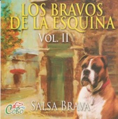 Salsa Brava, Vol. 2 artwork