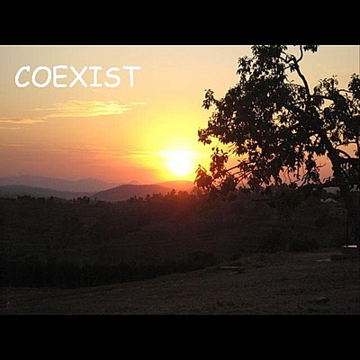 Coexist - Single