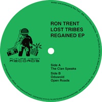 Lost Tribes Regained - EP - Ron Trent