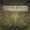 Coming Back To Life -- ECHOING ANGELS