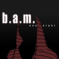 One Night - Single - Bam