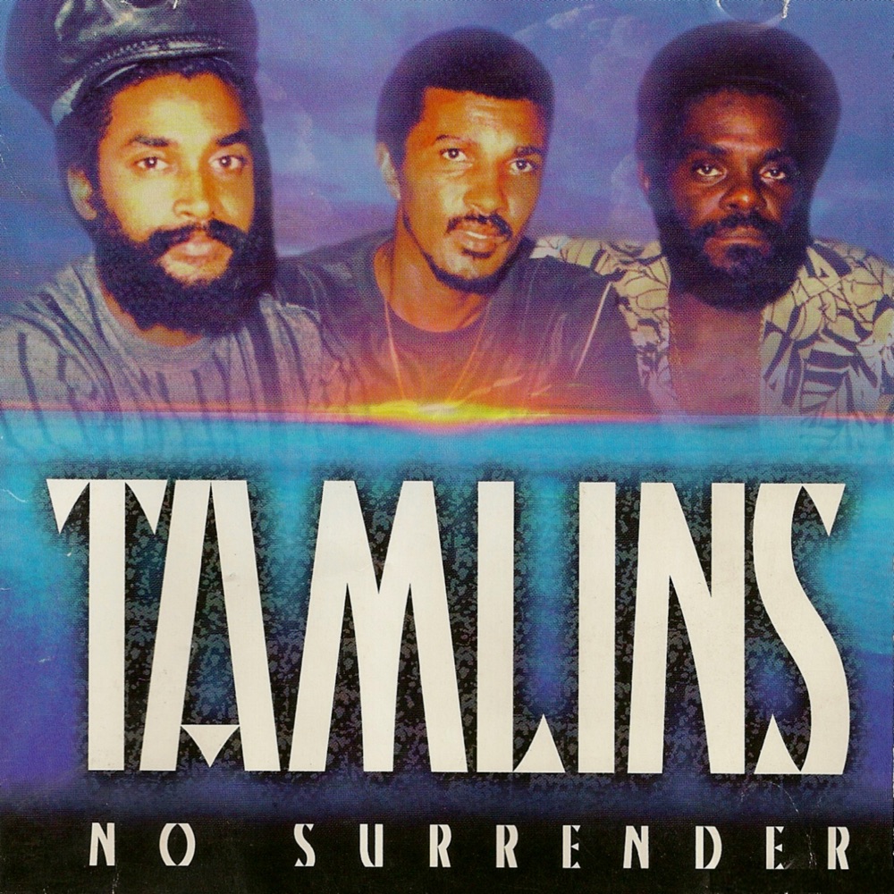 Обложка альбома «No Surrender» — The Tamlins