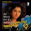 The Bollywood Instrumental Band - Ae Mere Dil E Nadaan (Tower House)
