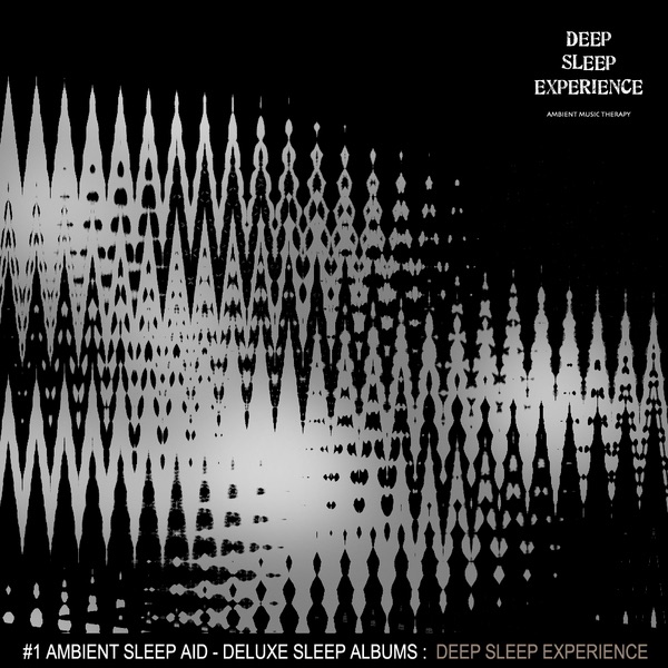 Deep Sleep Experience (Album) - By: Ambient Music Therapy