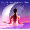 The Little Sleep Meditation Album - Philip Permutt