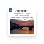 Sanremo Symphony Orchestra