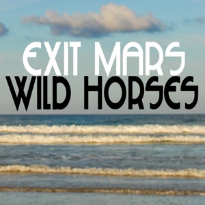 Wild Horses - Single