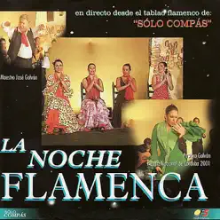 La Noche Flamenca en Directo - José Anillo La Noche Flamenca en Directo - José Anillo