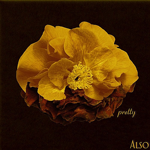 Pretty - Single by ALSO album cover