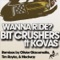 Wanna Ride? - Bit Crushers lyrics