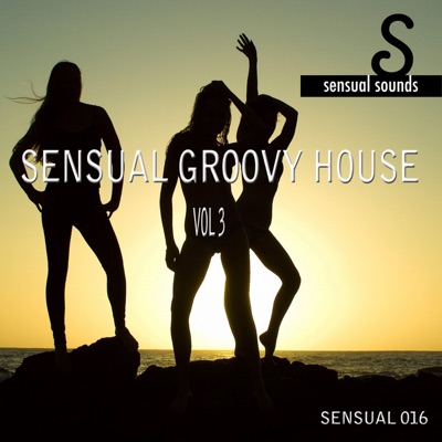 Sensual Groovy House (#3)