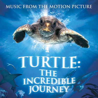 Turtle Universe-thumbnail