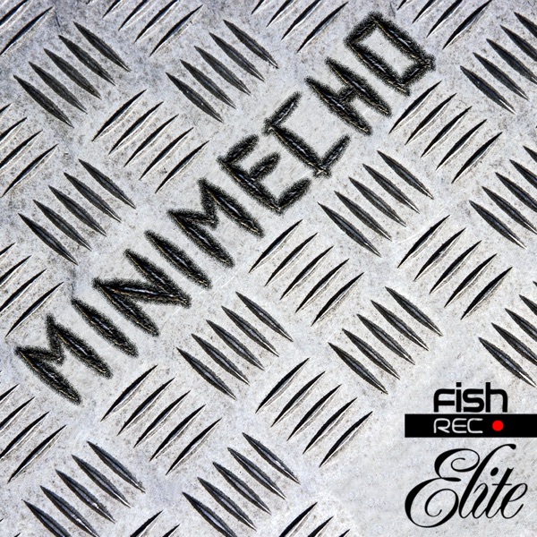 Minimecho - EP