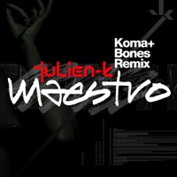 Maestro (Remixes) - Single - Julien-K