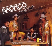 Bronco Amigo artwork