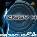 Bassdusche 2k9 [Bangbros Remix]