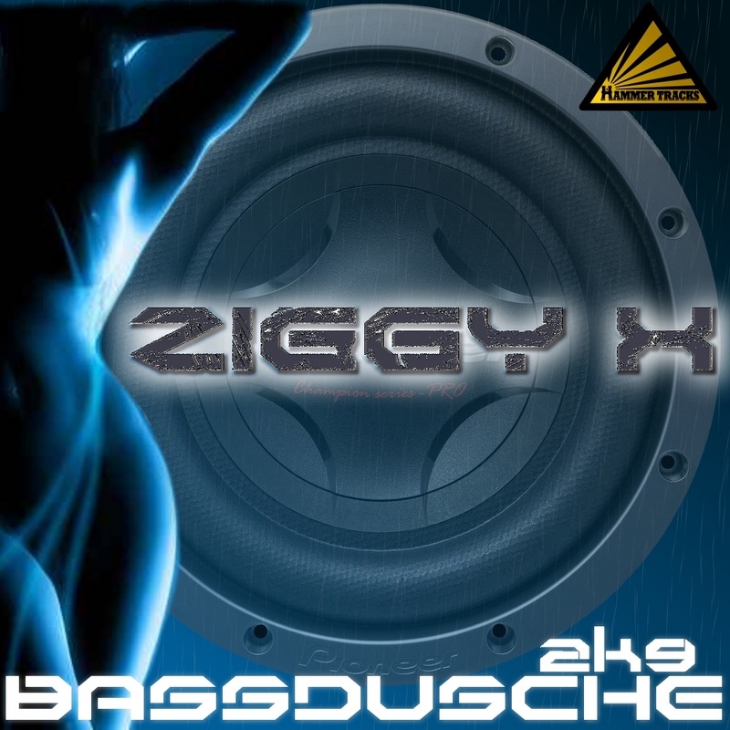 Cover du titre Bassdusche 2K9 (Scotty Remix Radio Edit)