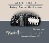 Best of Swing Dance Orchestra