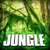 Natural Jungle Wildlife