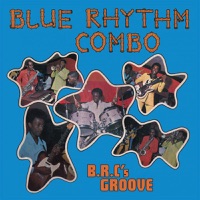Blue Rhythm Combo - Take the Funky Feeling