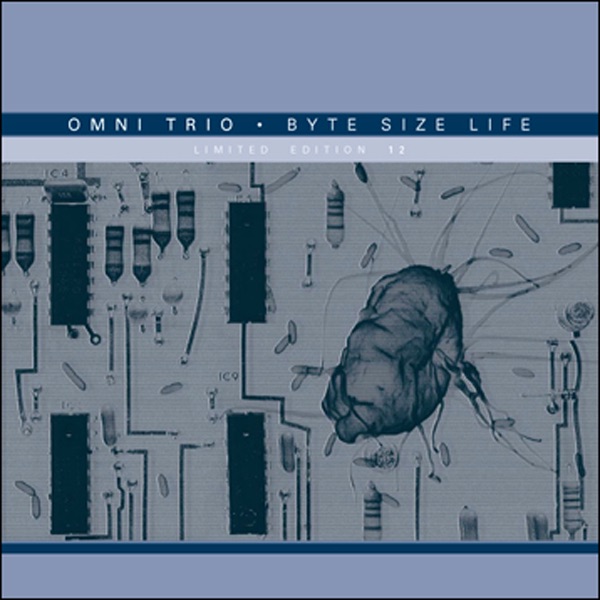 Byte Size Life (Shimon Remix) / Byte Size Life (Mr Scruff Remix) [Single - Moving Shadow SHADOW137RiTMS - Drum & Bass]