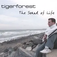 Shimmering Sunrise — Tigerforest