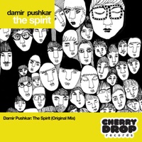 The Spirit - Single - Damir Pushkar