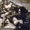 Tom Russell - Outbound Plane (feat. Nanci Griffith)